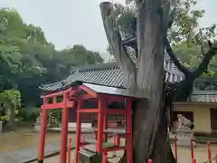 中臣須牟地神社の自然