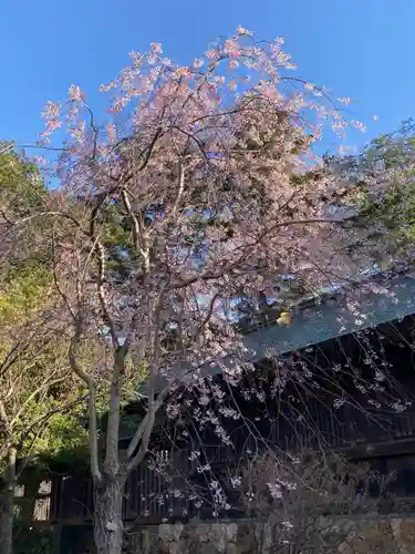 北海道神宮の自然