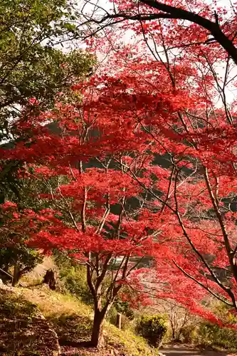 黒松寺(徳島県)