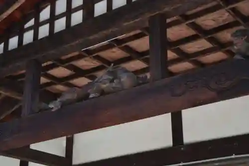 法然寺の本殿・本堂