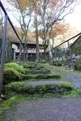 古知谷阿弥陀寺の庭園