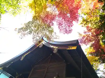 岡崎神社の本殿・本堂