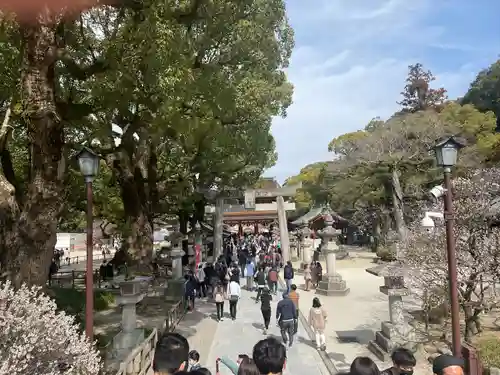 太宰府天満宮(福岡県)