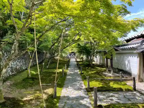 酬恩庵一休寺(京都府)