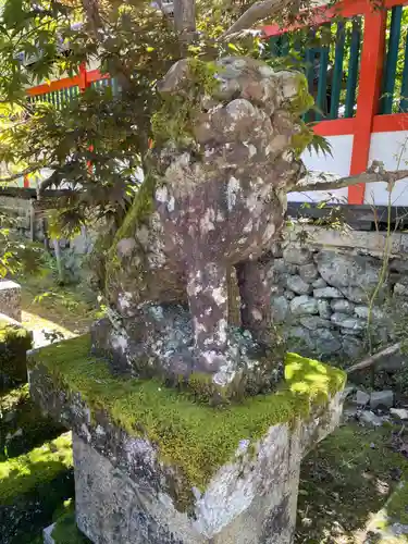 鍬山神社の狛犬