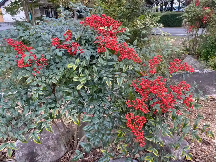清薗寺(兵庫県)