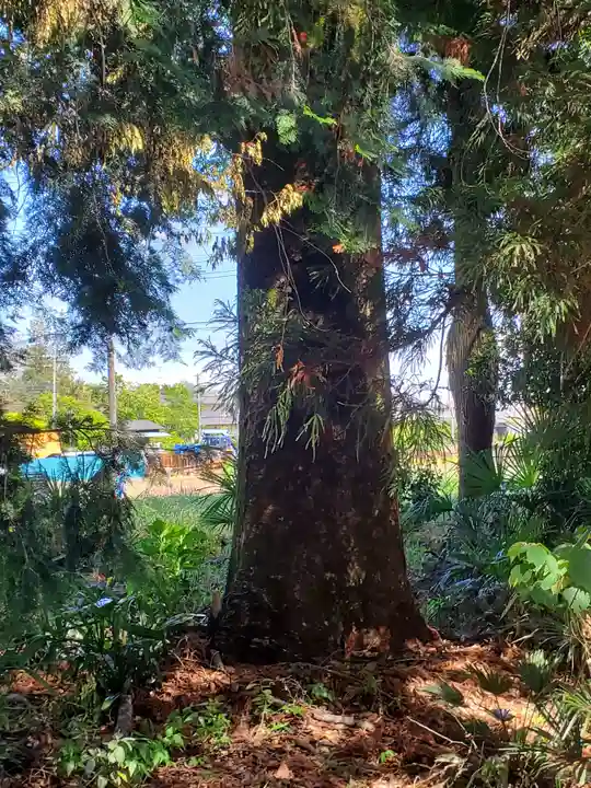 只上神社(群馬県)