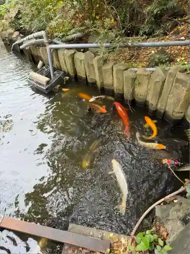 富岡八幡宮(東京都)