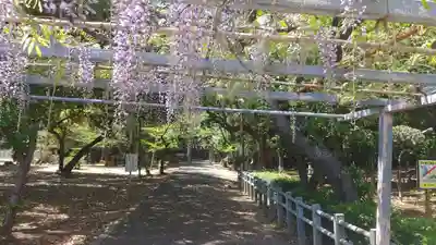 熊野神社の自然