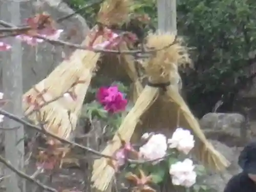 鶴岡八幡宮の庭園