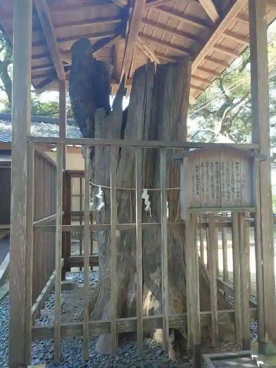 泉神社(茨城県)