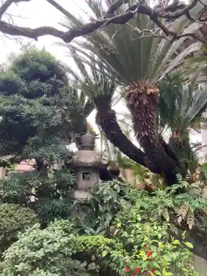 本龍寺(東京都)