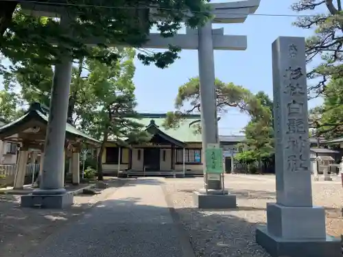 杉杜白髭神社の鳥居