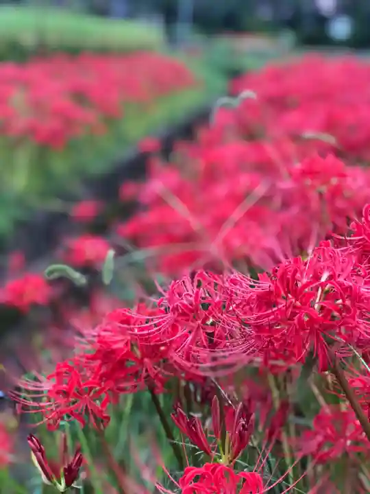 木舟山 順教寺の自然