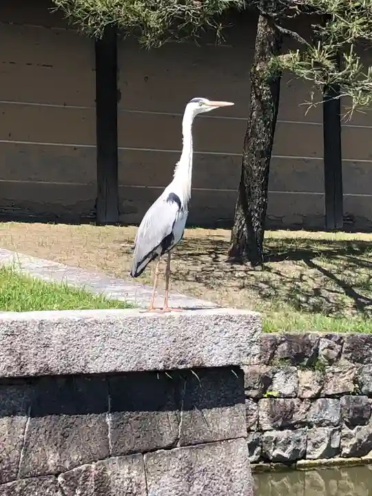 東寺(教王護国寺)(京都府)