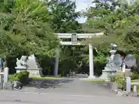 桜ヶ池池宮神社の鳥居