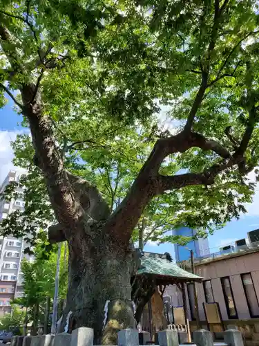 阿邪訶根神社の自然
