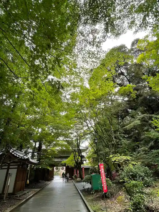 目の霊山 油山寺の山門・神門