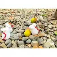 彌彦神社 (伊夜日子神社)のおみくじ