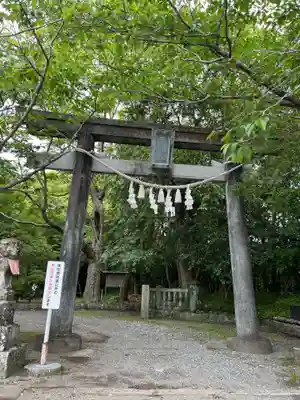 秦神社(高知県)