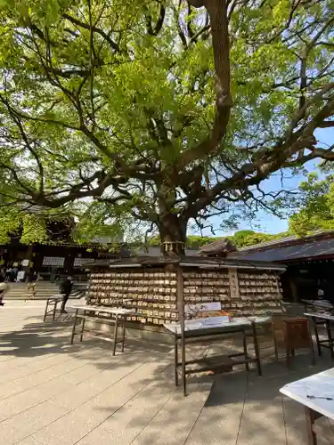 明治神宮(東京都)