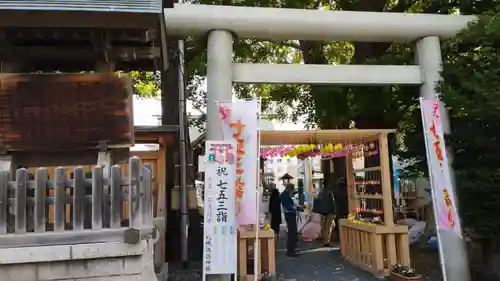 札幌諏訪神社の七五三参