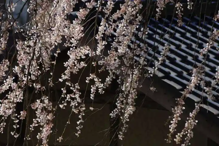田村神社の自然