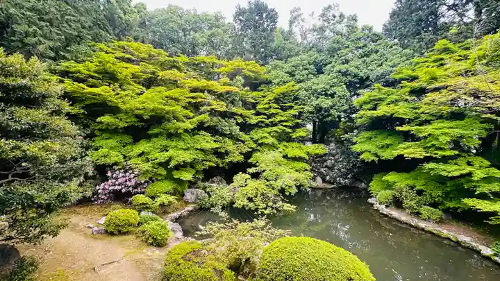 隨心院(随心院)(京都府)