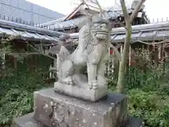 晴明神社の狛犬