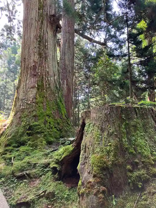 高野山金剛峯寺奥の院(和歌山県)