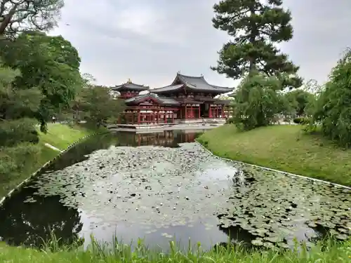 平等院の景色