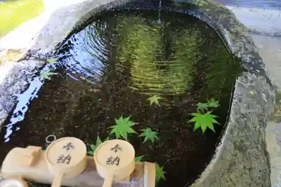 鹿島大神宮の手水舎