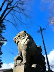 小諸八幡宮の狛犬