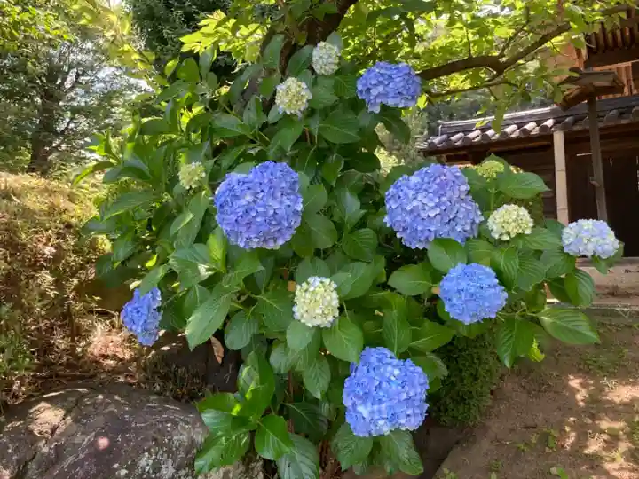 横浜 西方寺の自然