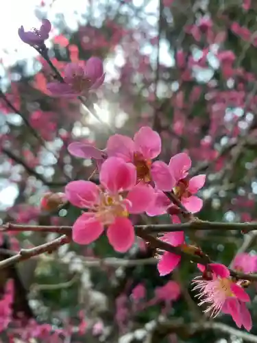 芳賀天満宮(栃木県)