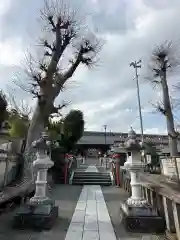 日枝神社(神奈川県)