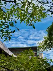 蚊里田八幡宮(長野県)(2025年08月09日(土) 11時51分23秒投稿)