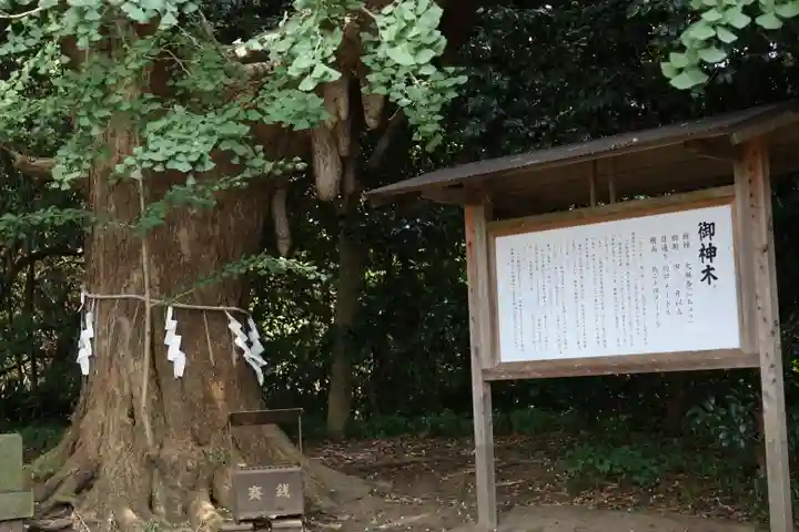 鎌数伊勢大神宮(千葉県)