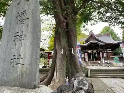 滝野川八幡神社(東京都)