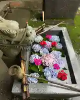 楽水亭 大龍寺(秋田県)