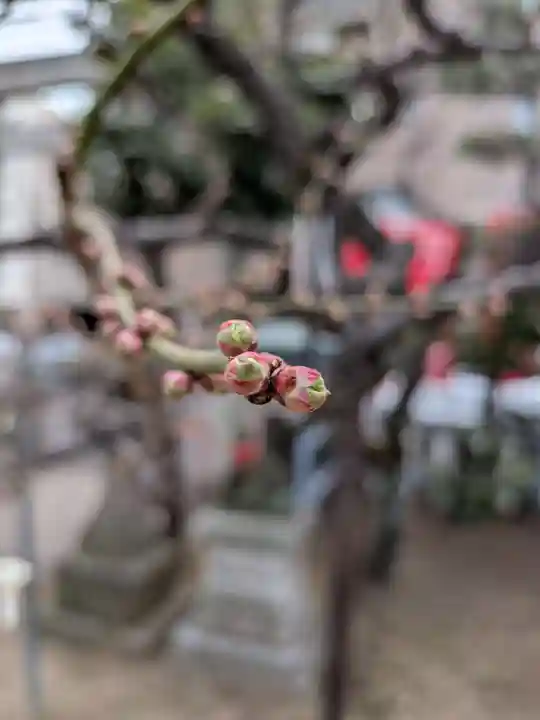 久富稲荷神社(東京都)