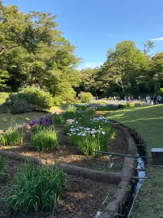 明治神宮(東京都)