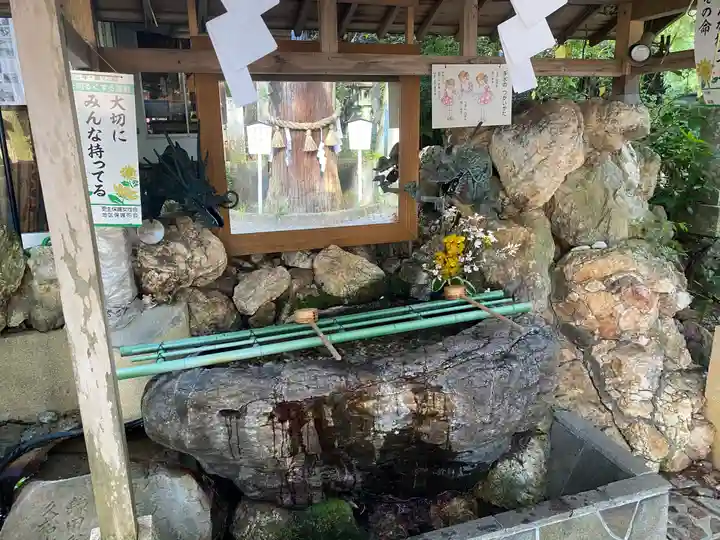 椙本神社(高知県)