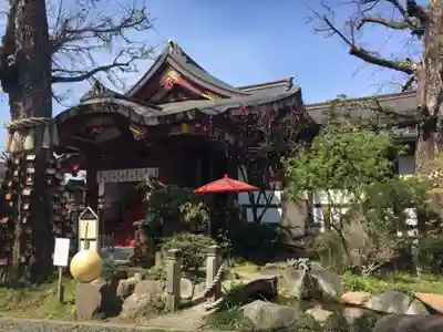 素盞雄神社の本殿・本堂