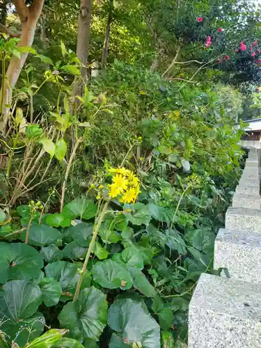 沙沙貴神社の自然