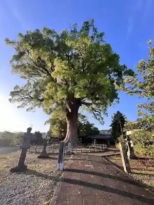 津江神社(福岡県)