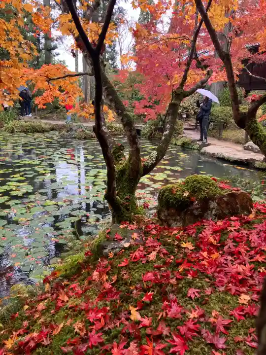 天授庵(京都府)