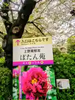 上野東照宮の{uncategorized: "未分類", other: "その他", undefined: "問題あり", building: "その他建物", grave: "お墓", sacred_gate: "鳥居", guardian: "狛犬", statue: "像", buddha: "仏像", history: "歴史", nature: "自然", garden: "庭園", animal: "動物", pagoda: "塔", temizu: "手水舎", mountain_gate: "山門・神門", sanctuary: "本殿・本堂", subordinate: "末社・摂社", art: "芸術", scenery: "景色", jizo: "地蔵", ema: "絵馬", goshuin: "御朱印", omikuji: "おみくじ", items: "授与品その他", amulet: "お守り", goshuincho: "御朱印帳", eats: "食事", festival: "お祭り", votive_dance: "神楽", shichigosan: "七五三参", wedding: "結婚式", experience: "体験その他", initially: "初詣", around: "周辺", anti_infection: "感染症対策"}