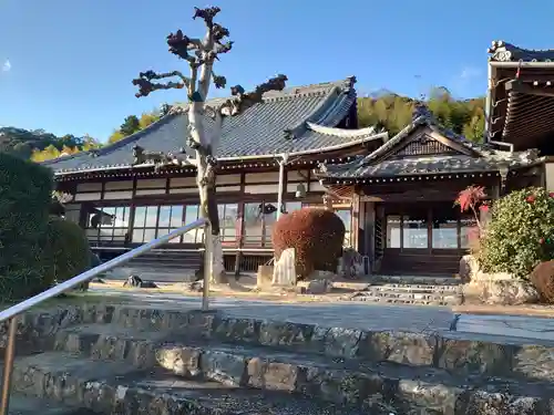 東林寺の本殿・本堂