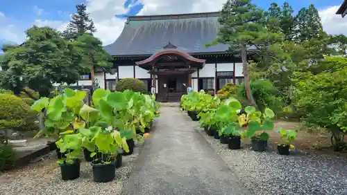 天性寺(山形県)